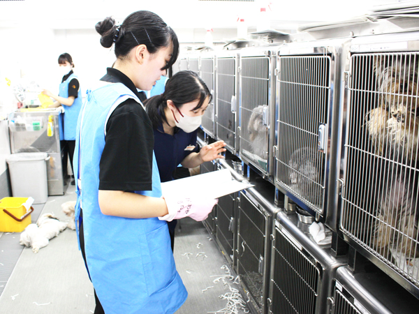 １年生、モデル犬のお世話が始まりました！